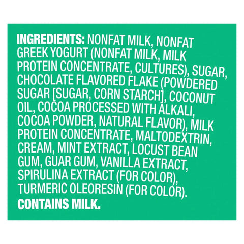 Yasso Mint Chocolate Chip Frozen Greek Yogurt - 14 fl oz