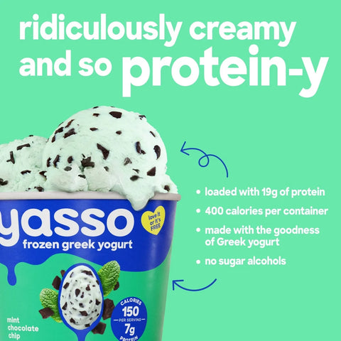Yasso Mint Chocolate Chip Frozen Greek Yogurt - 14 fl oz