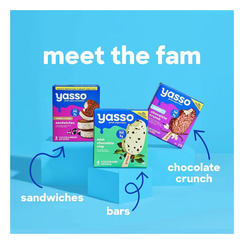 Yasso Frozen Greek Yogurt - Sea Salt Caramel Poppables - 6.84 fl oz