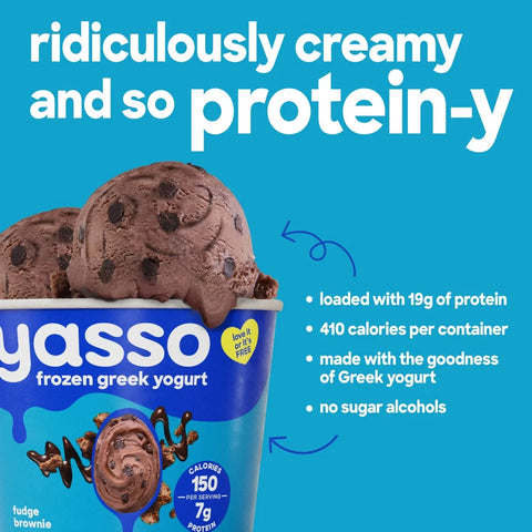 Yasso Chocolate Fudge Brownie Frozen Greek Yogurt - 14 fl oz