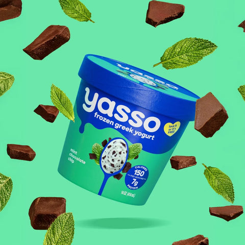 Yasso Mint Chocolate Chip Frozen Greek Yogurt - 14 fl oz
