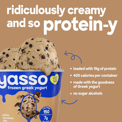 Yasso Coffee Chocolate Chip Frozen Greek Yogurt - 14 fl oz