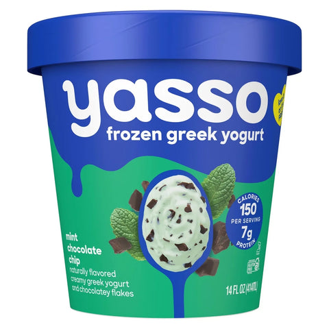 Yasso Mint Chocolate Chip Frozen Greek Yogurt - 14 fl oz