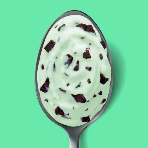 Yasso Mint Chocolate Chip Frozen Greek Yogurt - 14 fl oz